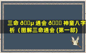 三命 🐵 通会 🕊 神童八字解析（图解三命通会 (第一部) 八字神煞）